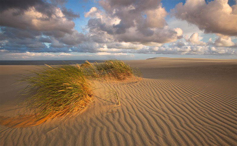 White sand dunes of the Curonian Spit